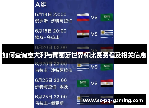 如何查询意大利与葡萄牙世界杯比赛赛程及相关信息