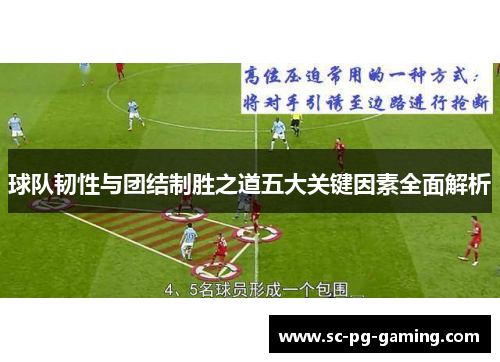 球队韧性与团结制胜之道五大关键因素全面解析