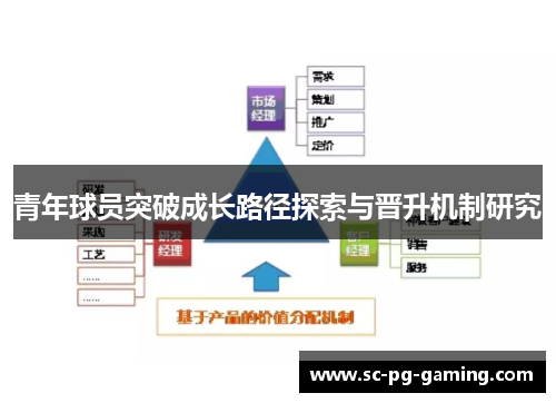 青年球员突破成长路径探索与晋升机制研究