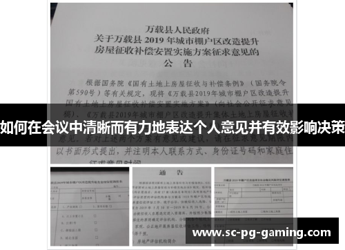 如何在会议中清晰而有力地表达个人意见并有效影响决策