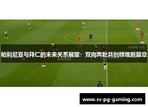 帕利尼亚与拜仁的未来关系展望：双向奔赴共创辉煌新篇章