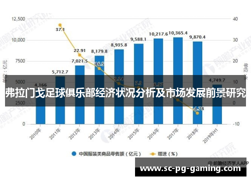 弗拉门戈足球俱乐部经济状况分析及市场发展前景研究