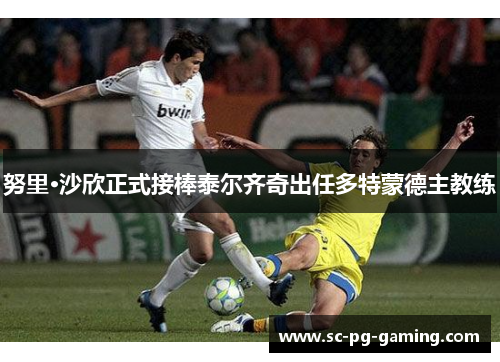 努里·沙欣正式接棒泰尔齐奇出任多特蒙德主教练