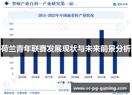 荷兰青年联赛发展现状与未来前景分析