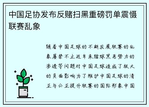 中国足协发布反赌扫黑重磅罚单震慑联赛乱象